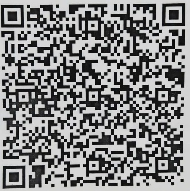 Scan to pay HOLNESS India via UPI